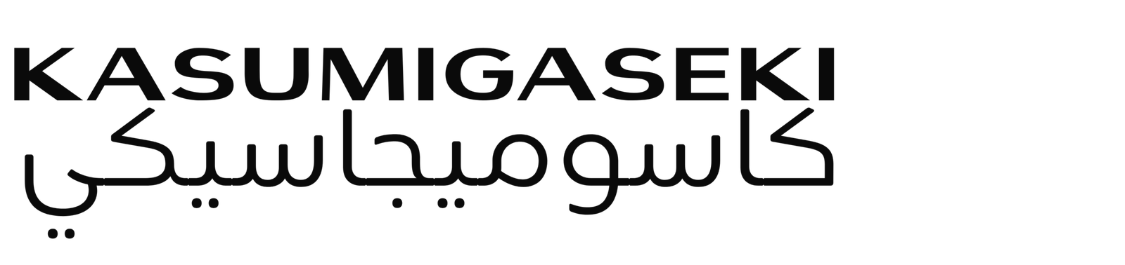 Kasumigaseki Middle East Investment & Management LLC
